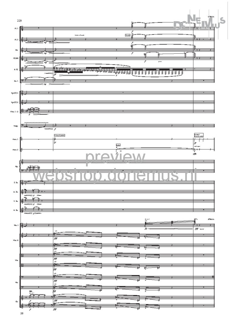 Concerto No 6_Page_30