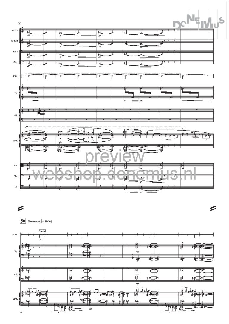 concerto no 7_Page_06