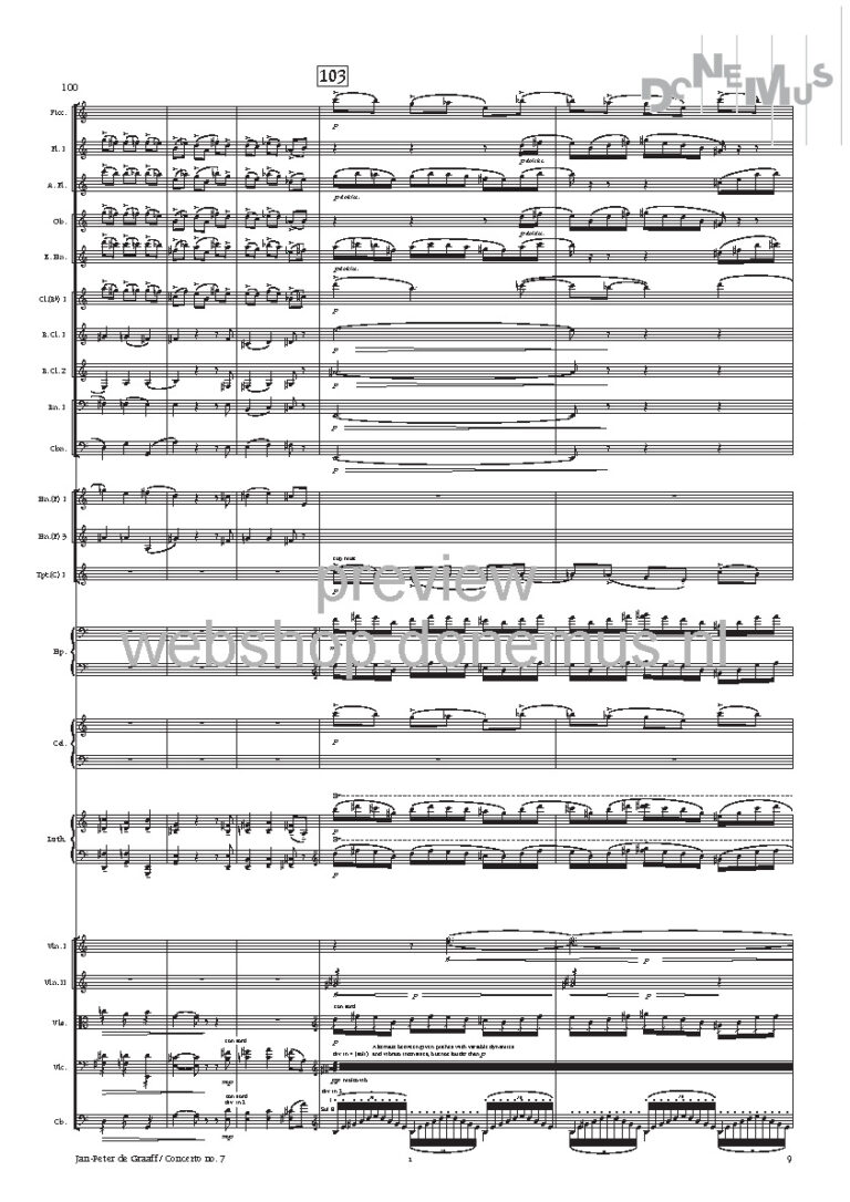 concerto no 7_Page_11