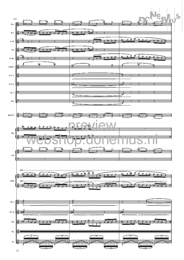 concerto no 7_Page_14