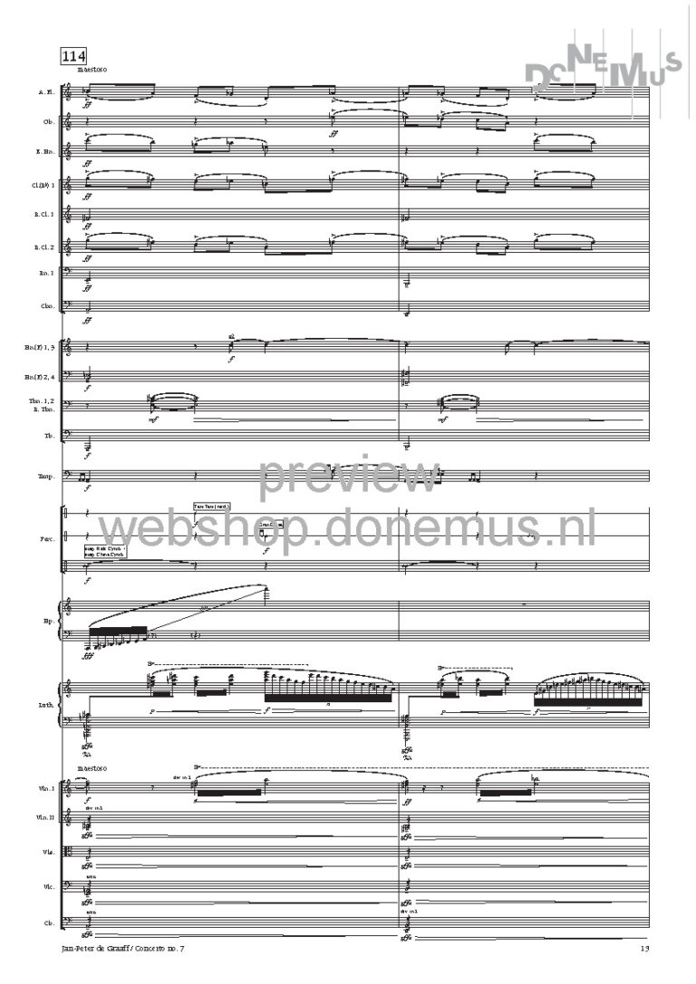 concerto no 7_Page_15