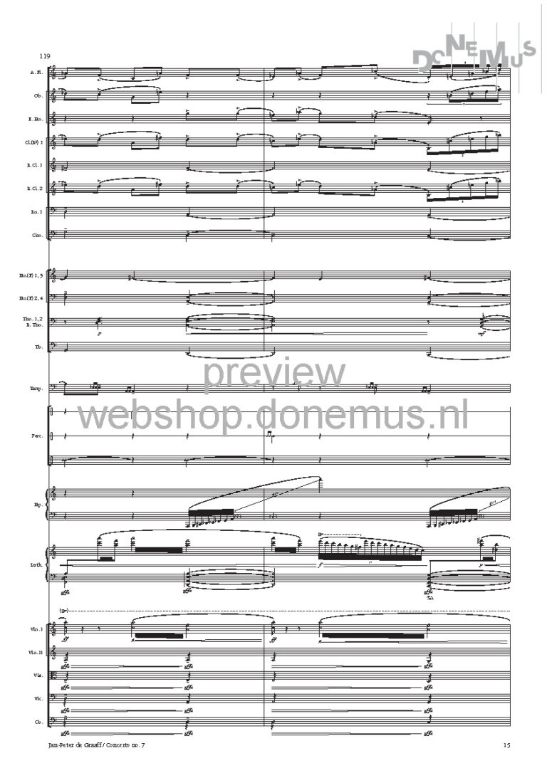 concerto no 7_Page_17
