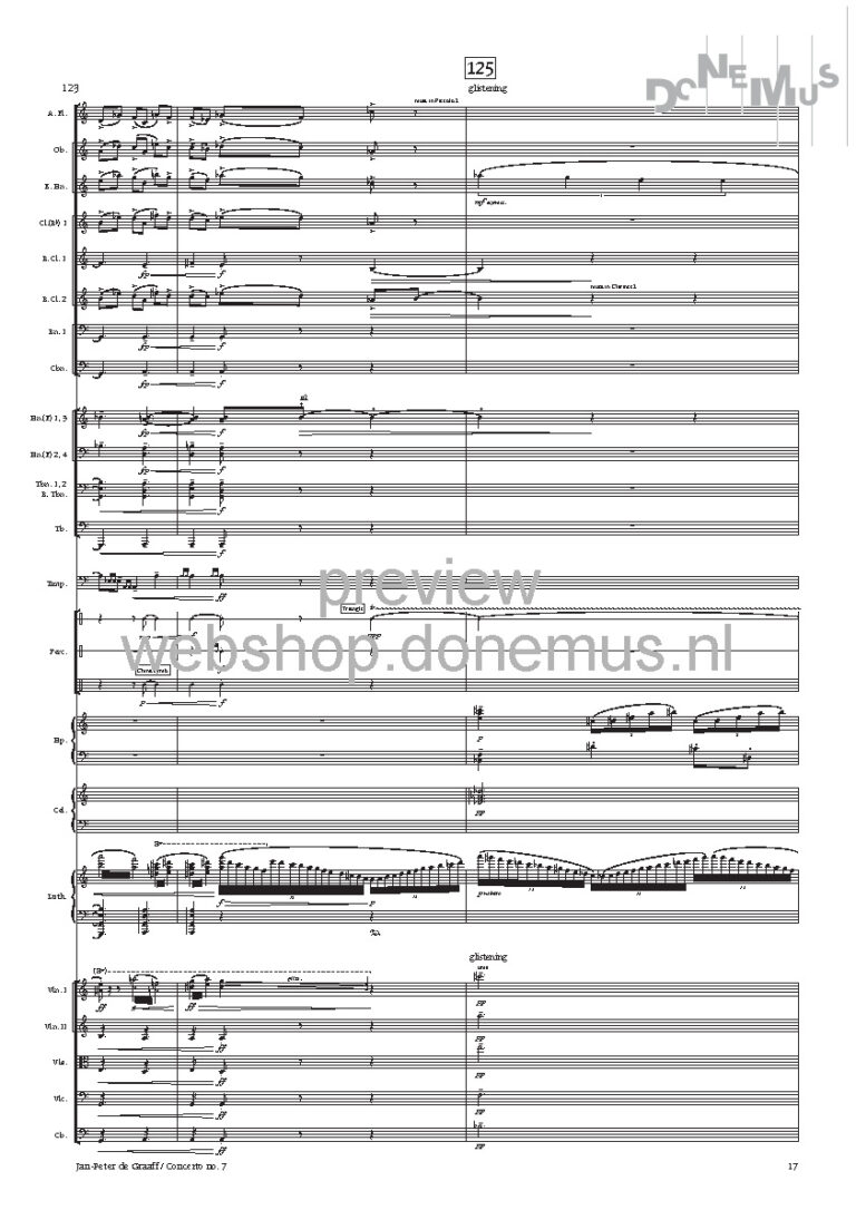 concerto no 7_Page_19