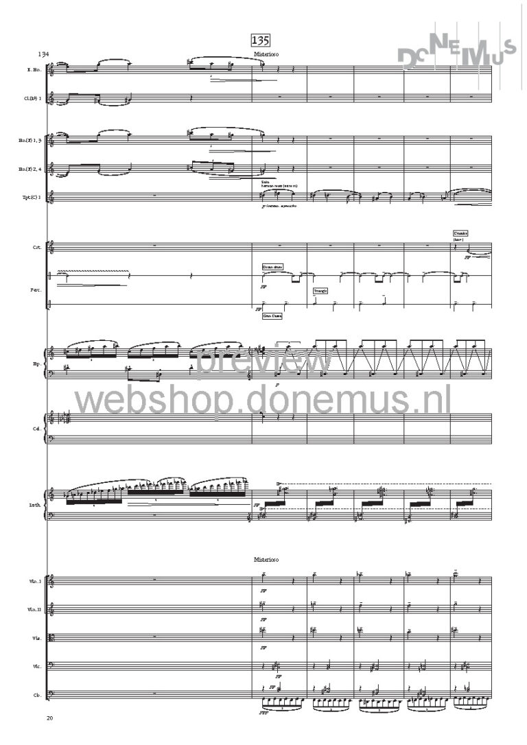 concerto no 7_Page_22