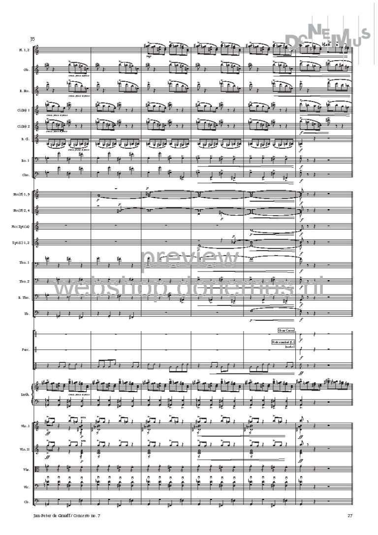 concerto no 7_Page_29